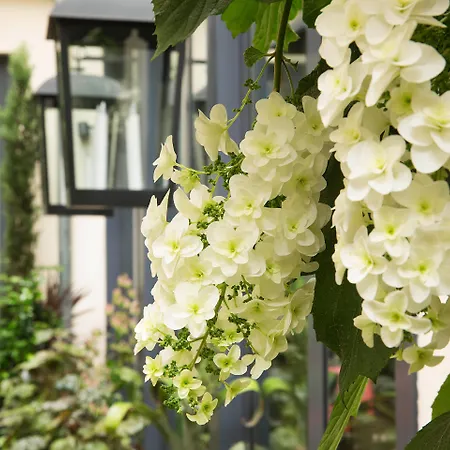 Hotel Villa Madame - Saint-Germain-Des-Pres-3